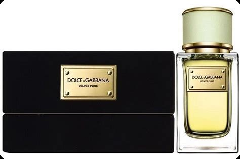 dolce gabbana velvet pure описание